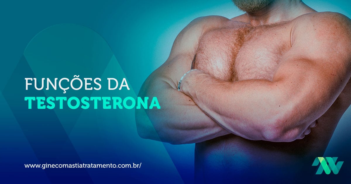 Funções da Testosterona